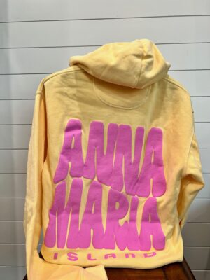 Anna Maria Island Puff Print Hoodie
